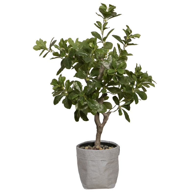 Ficus artificiel Panama 32 "