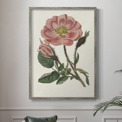 Pink Floral Mix IX Framed Print - Solid Wood