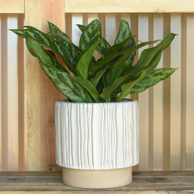 Winkler Stripe Pot Planter