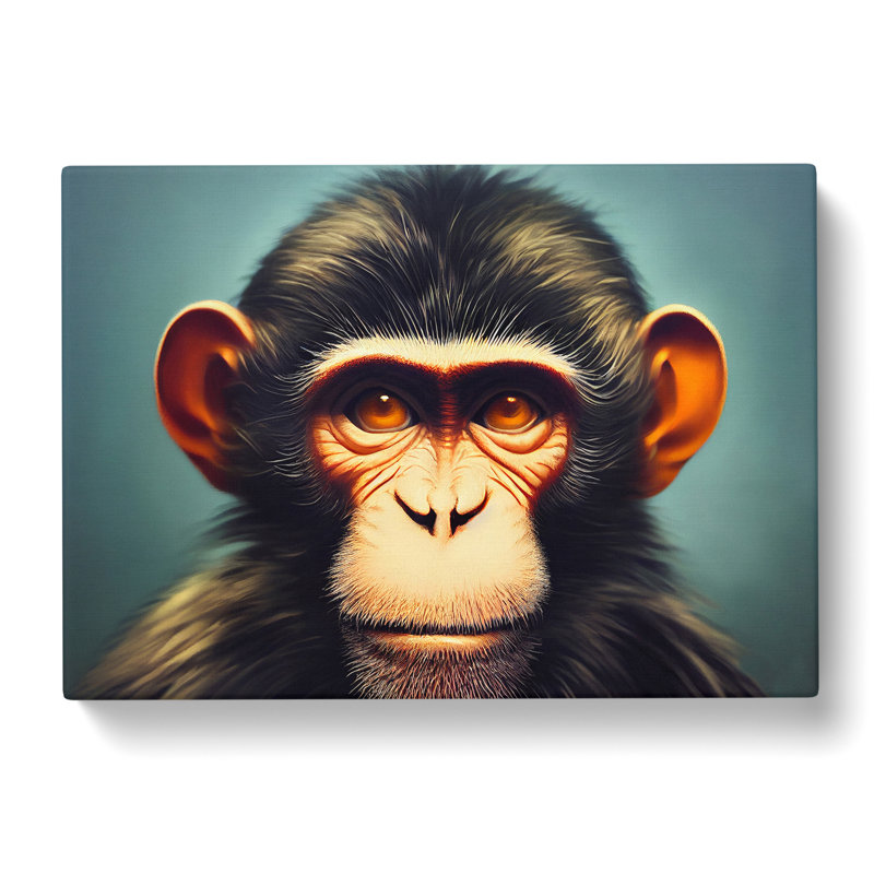 Monkey Vol.1 - Wrapped Canvas, 35cm H x 50cm W x 3cm D
