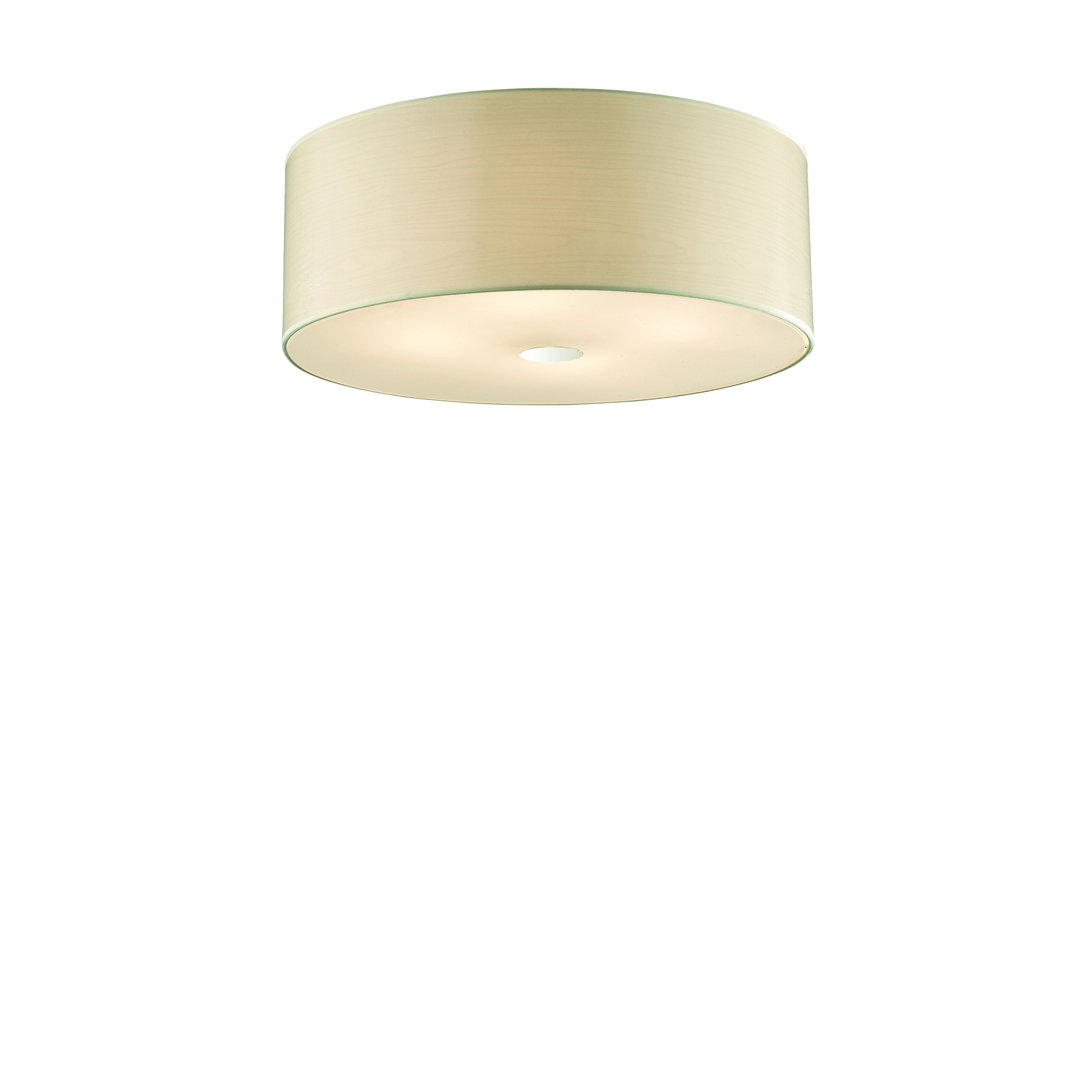 Kipp 4 Light Flush Ceiling Light