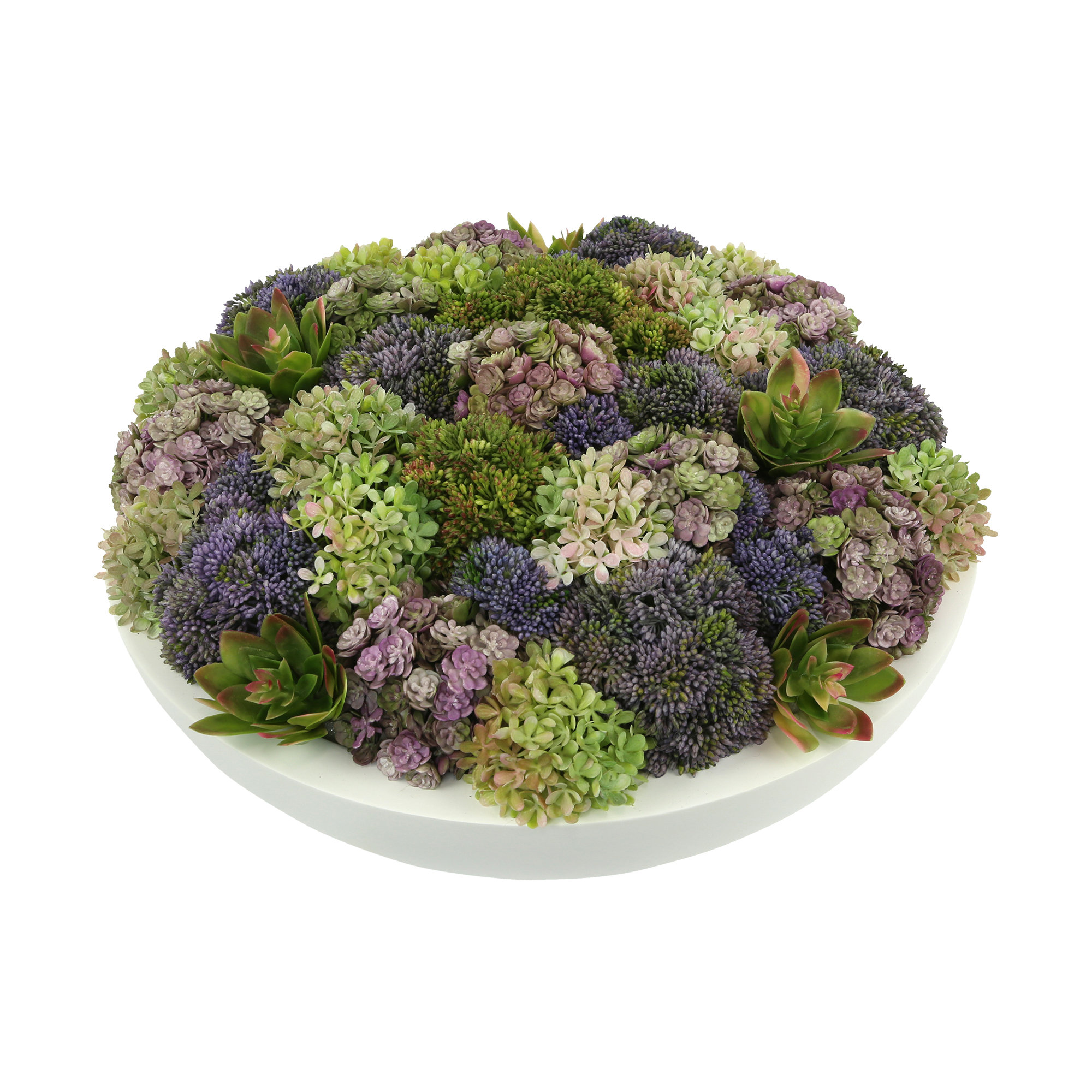 Creative Displays, Inc. Succulent Arrangement in Planter & Reviews ...