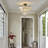 10-matte black dimmable crystal industrial Flush mount light