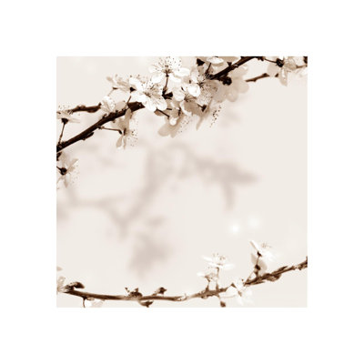 Sakura III Print by Sofia Fox