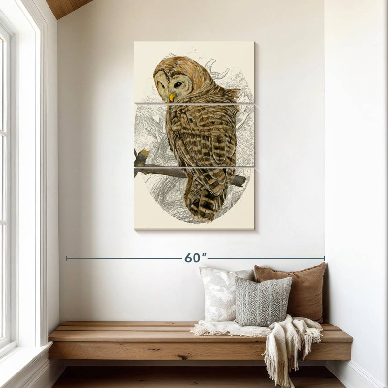 Brampt Barred Owl II