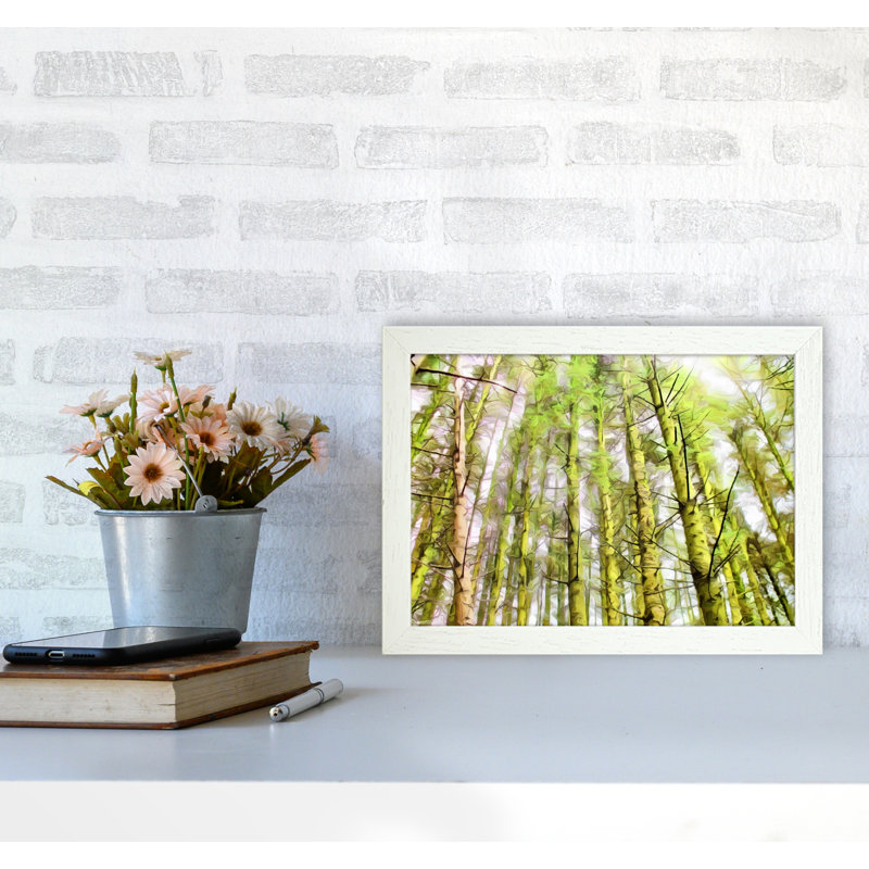 Woodland - Print on Canvas, White Framed, 25cm H x 34cm W x 3cm D