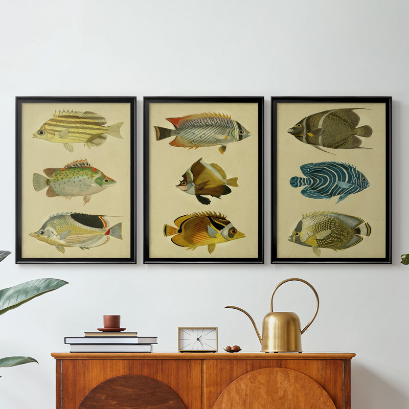 Trio de poissons tropicaux I - Toile tendue avec châssis sur mesure - 3 pièces, H 21 po x l 30 po, Noir