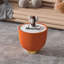Table basse en forme de tasse-114239820-121934100