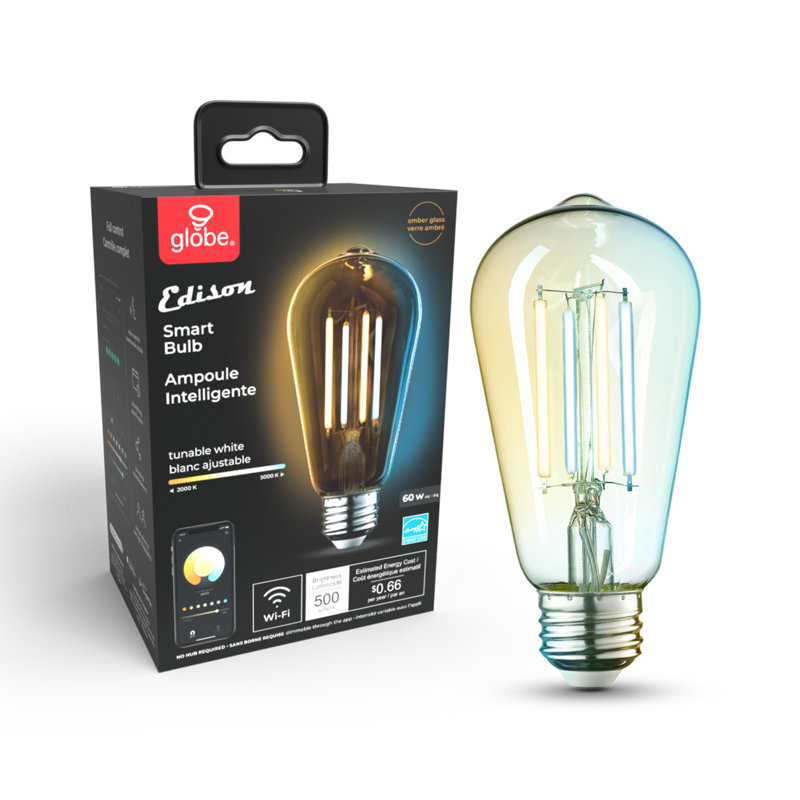 5,5 watts (équivalent à 60 watts), ampoule T20 à DEL intelligente, à intensité variable, blanc chaud (3000K) E26 / base moyenne (standard)