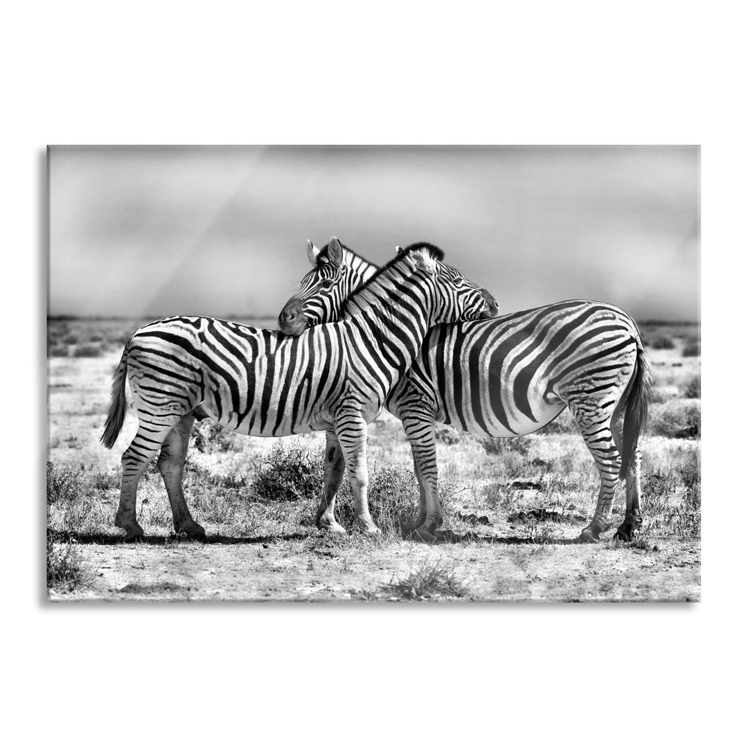 Glasbild Cuddling Zebra