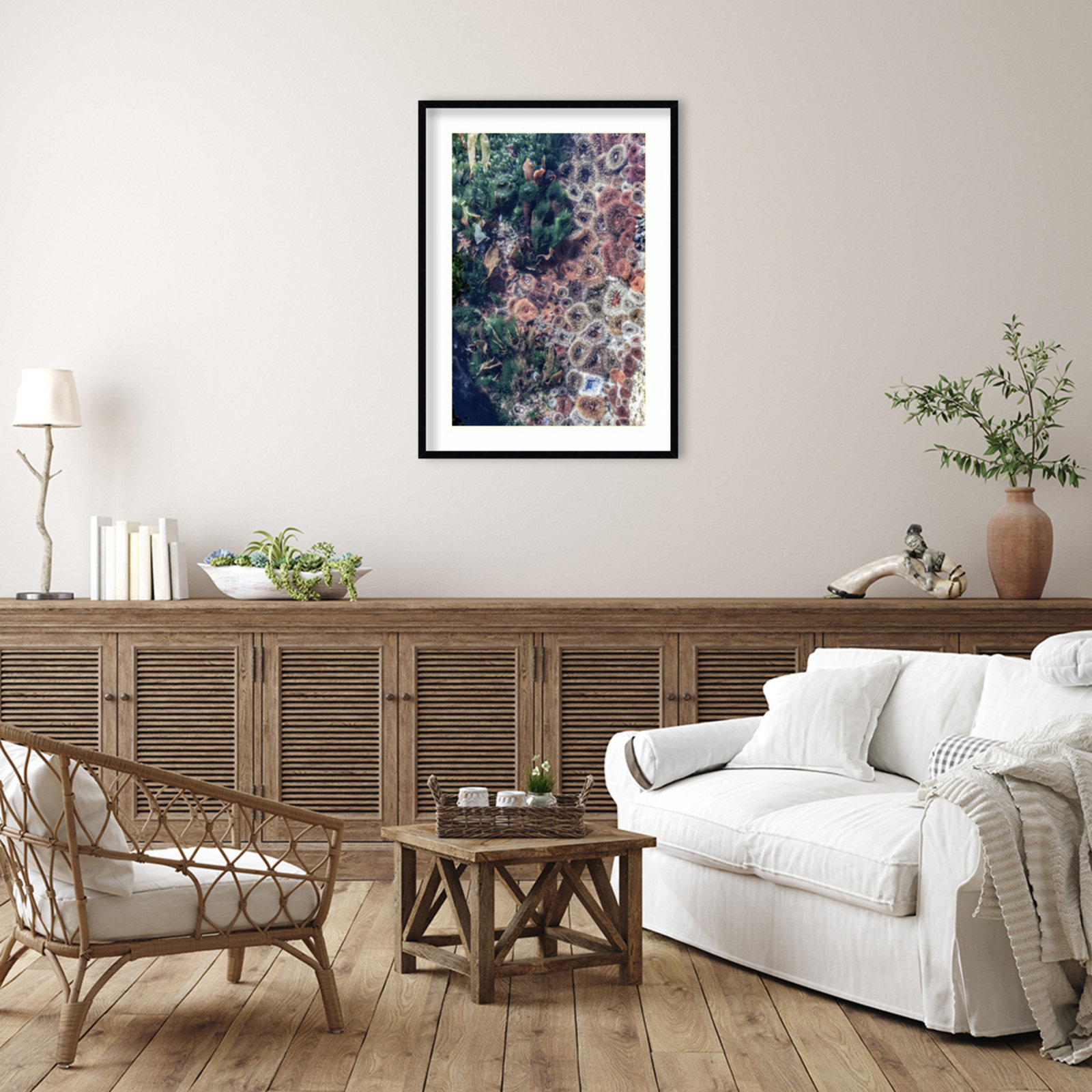 Ocean Curiosities by Shot by Clint Wood Framed Wall Art Print, 41" H x 30" W, Black