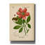Toile épique Graffiti «Paeonia Corallina» par Art Licensing Studio, 12 po x 18 po-109175415