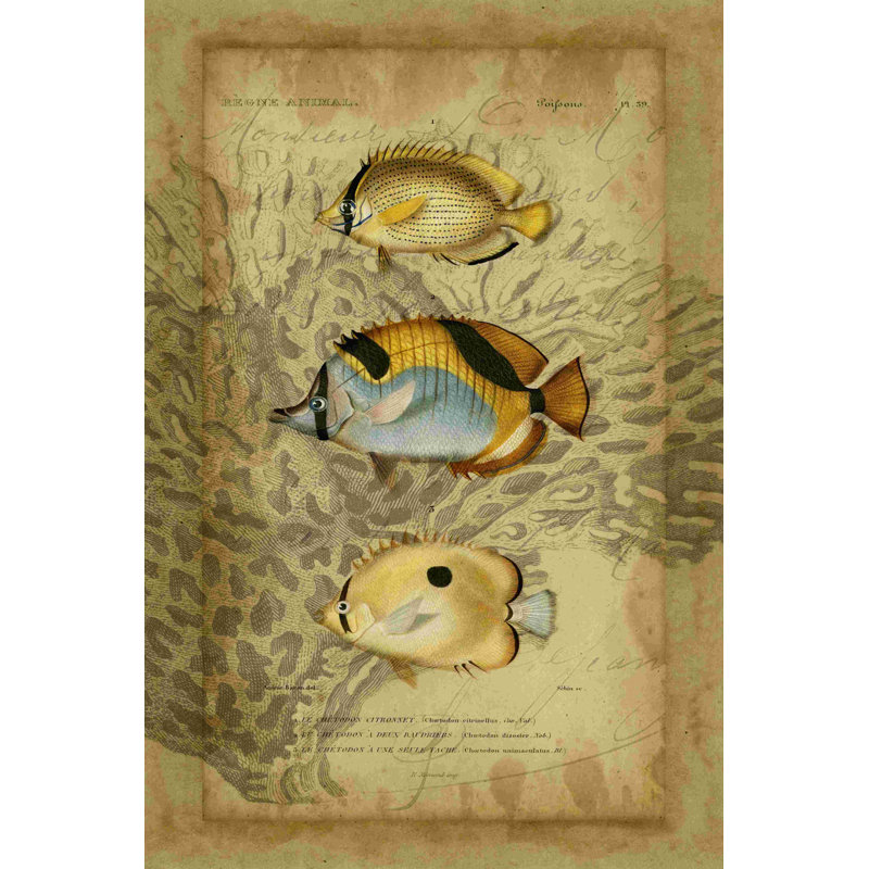 Non-embelli Ocean Trilogy II, H 18 po x l 12 po