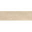 Passion 2.56 W x 7.87 L Tile-1203639856