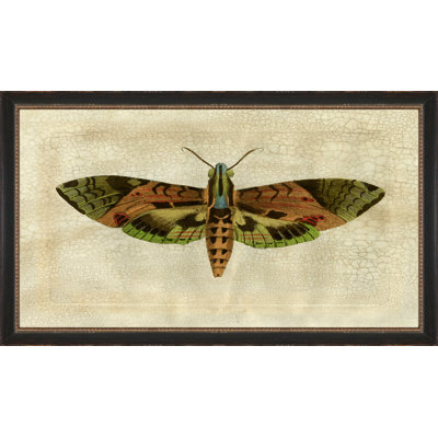 Papillon craquelé 6 - Peinture sur papier avec cadre photo