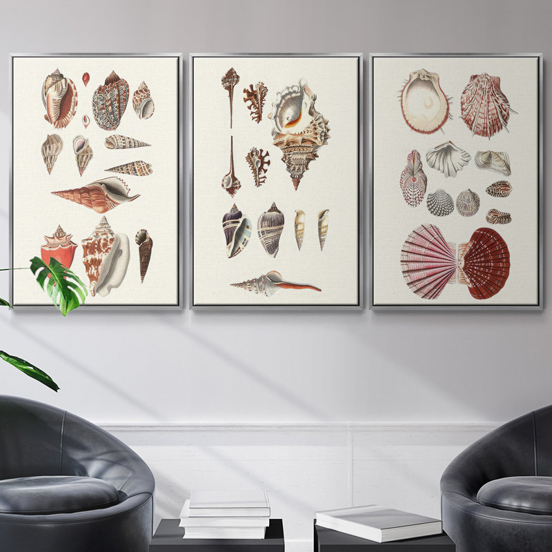 Ensemble graphique 3 pièces encadrées sur toile Murex noir, Encadrement argenté, H 27 po x l 54 po
