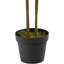 Plante artificielle en soie Dracaena (Real Touch)
