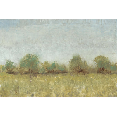 Spring Field I