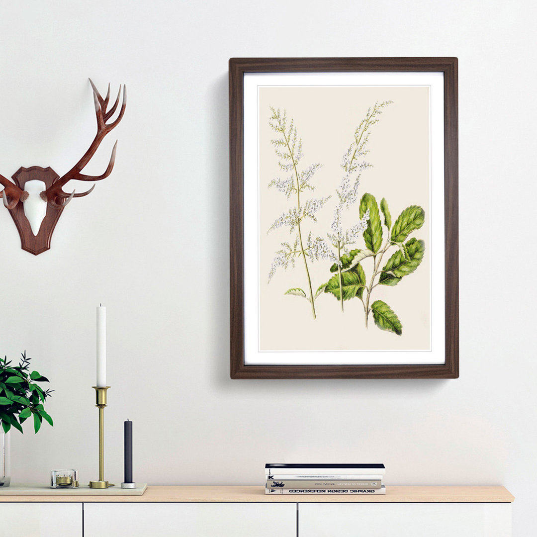 Lilac Flowers by Sarah Featon - Framed Print