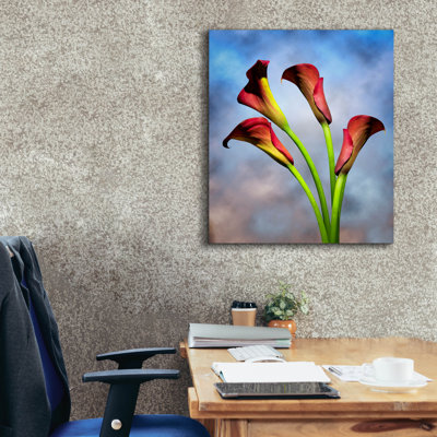 " Cala Lily 6 " by Mark Ashkenazi