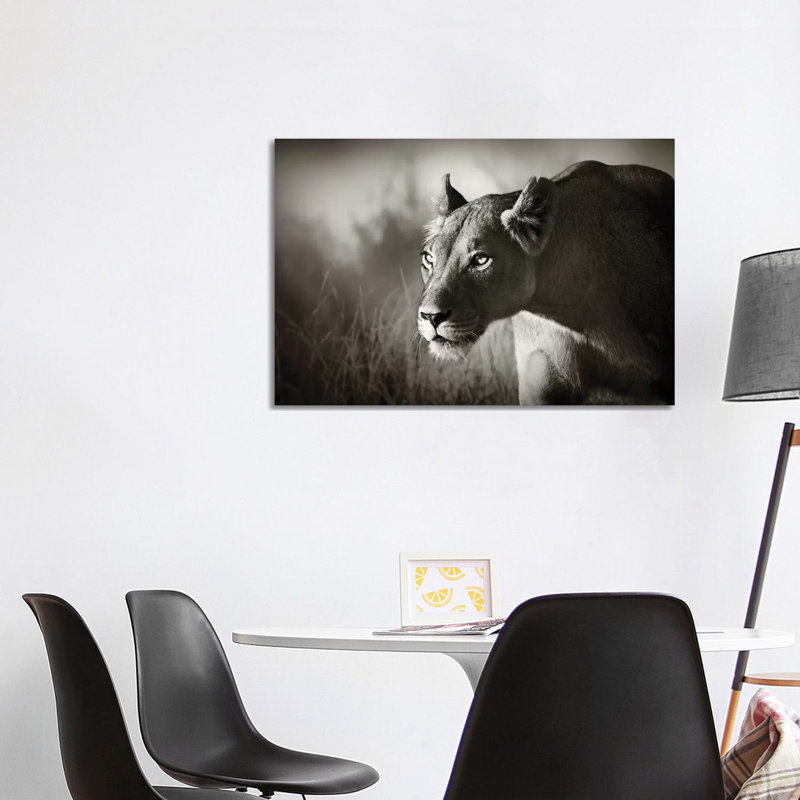 Lioness Stalking by Johan Swanepoel - Wrapped Canvas Print, 66.04cm H x 101.6cm W x 1.905cm D