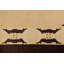 One-of-a-Kind 5'1" X 6'10" Hand Knotted Area Rug