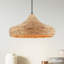 Très grand luminaire suspendu 3 lumières Hunter Cambria