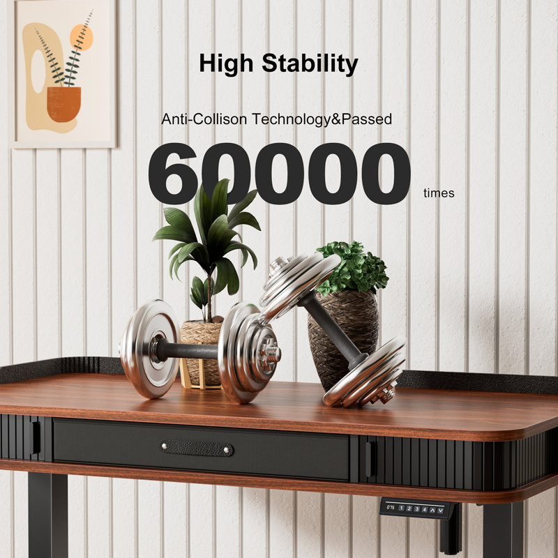 Marshun 48'' W Height Adjustable Rectangle Electric Standing Computer Desk  Home Office Desk with Drawers