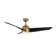Thalia 54'' Ceiling Fan with LED Lights
