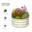 2PCS 2×2×1FT Interlocking Round Galvanized Steel Planting Beds