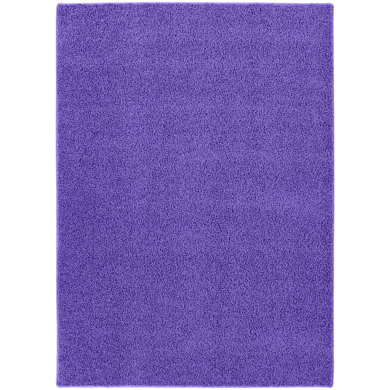 Indoor Rug, 5' x 8'