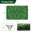 Herbe