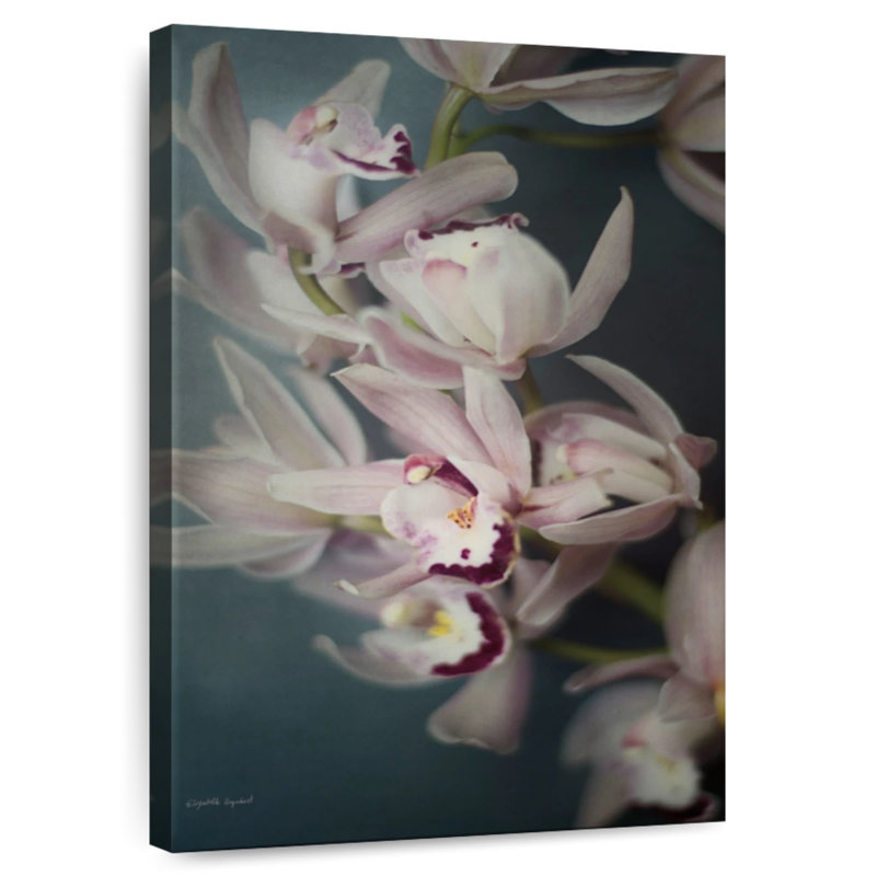 Harnek Dark Orchid, 51" H x 34" W