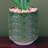 Artificial Cactus Plant in Ceramic Planter