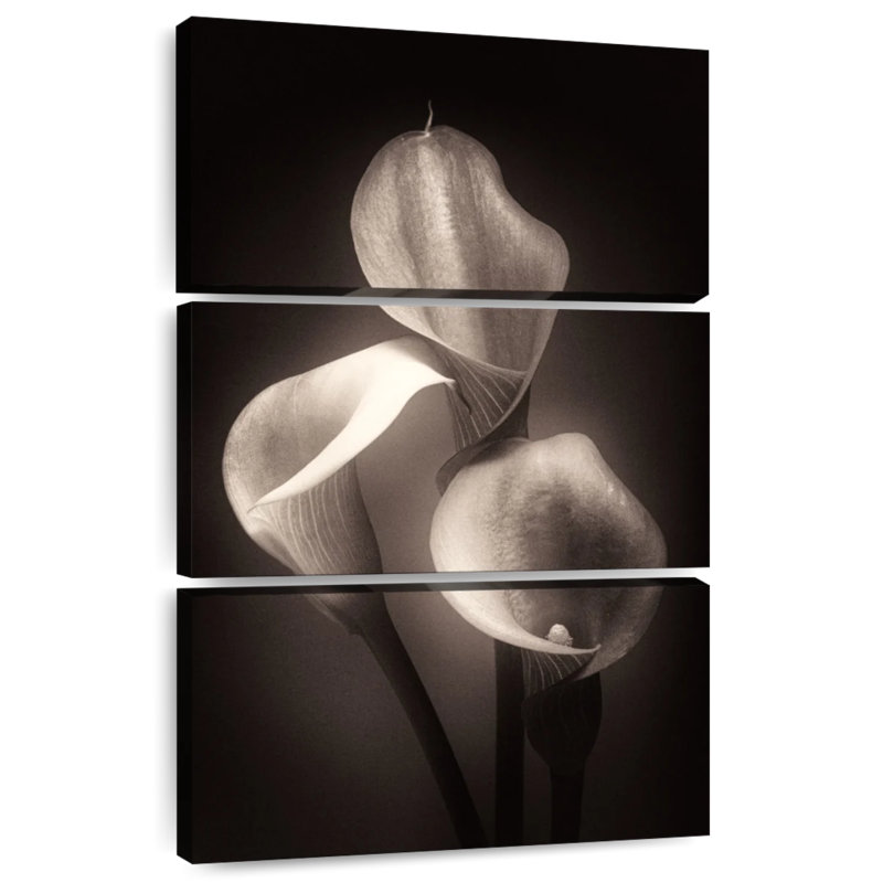 Harnek Calla Lilly Sepia, 57" H x 36" W