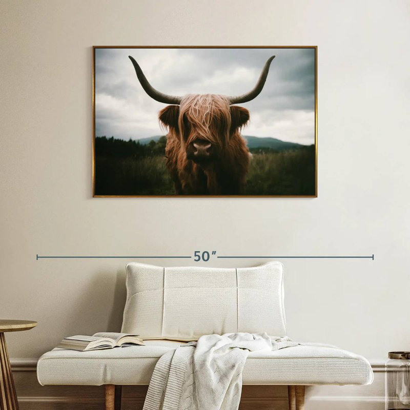 Vache Highland Open Field, 40 po x 27 po, Cadre flottant doré