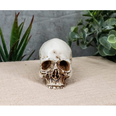 Figurine Daniellerose Homo Sapiens