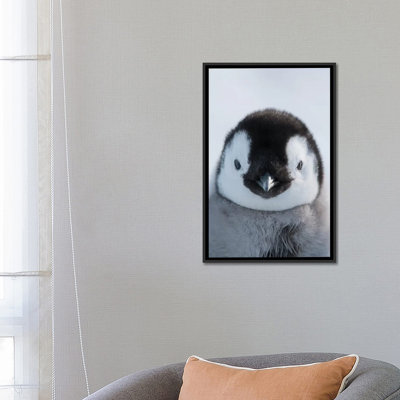 « empereur pingouin poussin, prydz bay, photographie de eastern antarctique » sur toile