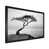 Black Single Picture Framed