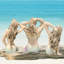 Ensemble de 3 statues de jardin Life's a Beach Mermaids & Merman