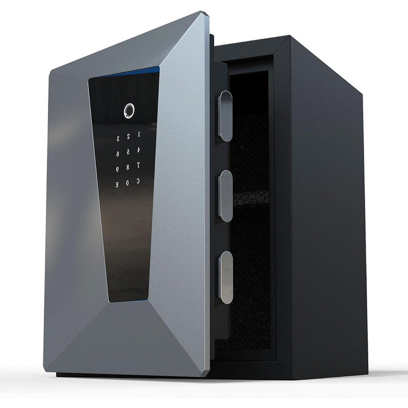 Biometric Safe Box, Fireproof Safes with Fingerprint Touch Screen Keyboard for Hotel Office, 2.1 Cubic feet