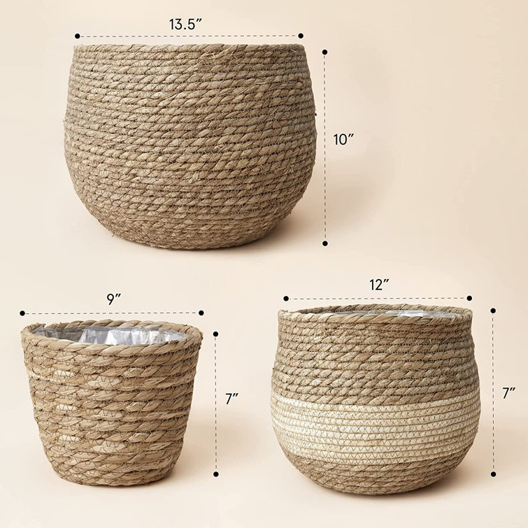 Matanna Indoor Pot Planter