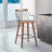 Gabriella Counter Stool with Metal Frame