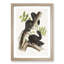 Black Squirrels by J.W. Audubon - Picture Frame Art Print-55512390-55512391