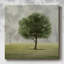 Awakening Tree II sur impression sur toile-1082292909