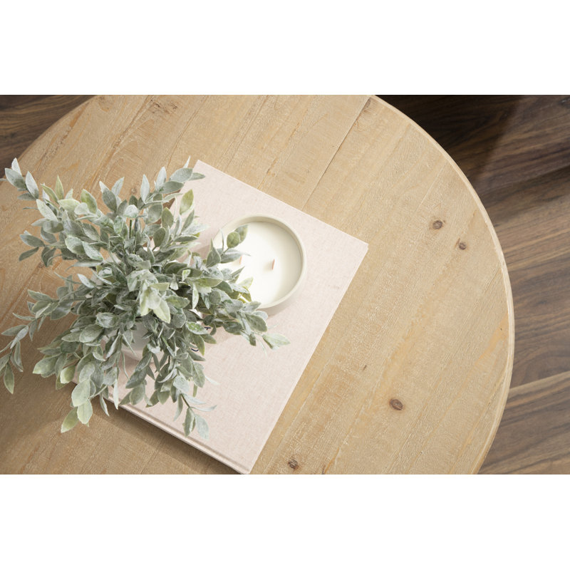 Chassidy Solid Wood Single Coffee Table, White
