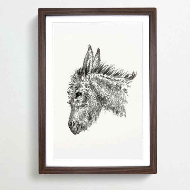 Head of a Donkey by Jean Bernard - Picture Frame Drawing Print, 65cm H x 48cm W x 2cm D, Walnut Framed
