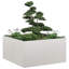 Planter Box-1764276871-1764276873