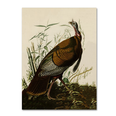 Traditional Painting Print