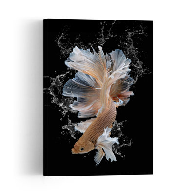 Betta Fish Water Splash Delicate Elegant Serene Fish Tropical Wildlife Wall Art Print 1 Piece Wrapped Canvas Wall Art